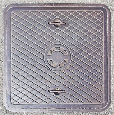 ���{�X�H��