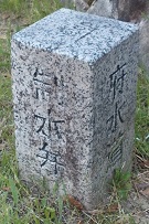 ���{������