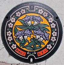 �쐼�s�}���z�[��