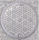 ���{�s�}���z�[��