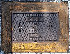 ���m�R�s���ΐ�