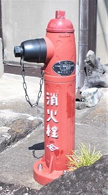 ���������̏��ΐ�