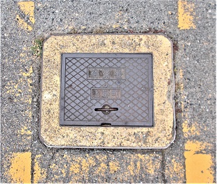 ��S�����ΐ�