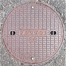 ���{���}���z�[��