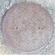 ���{���}���z�[��