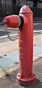 ���{���}���z�[��