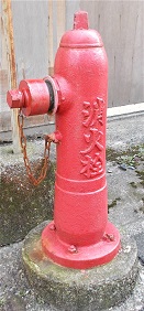 ���{���}���z�[��