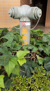 �����s������