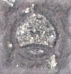 �����s�ʐ���