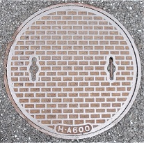 �c�ӎs�}���z�[��