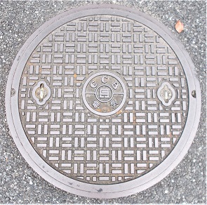 ���Ɍ������a