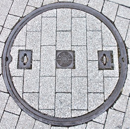 ���Ɍ������a