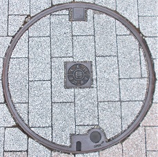 ���Ɍ������a