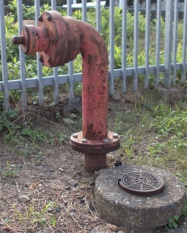 �։�s���̏��ΐ�