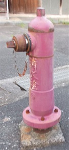 �{�������̏��ΐ�