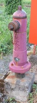 �{�������̏��ΐ�