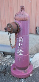 �{�������̏��ΐ�