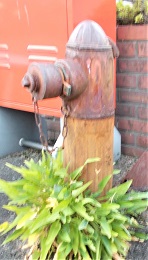 �{�������̏��ΐ�