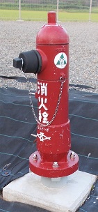 �{�������̏��ΐ�