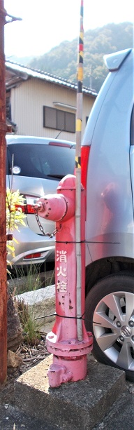 ���������̏��ΐ�