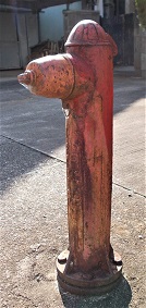 ���������̏��ΐ�