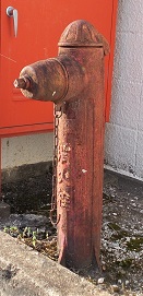 ���������̏��ΐ�