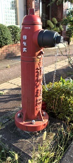 ���������̏��ΐ�