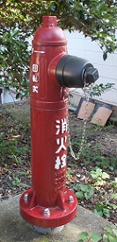 ���������̏��ΐ�