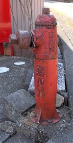 ���������̏��ΐ�