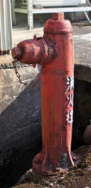 ���������̏��ΐ�