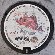 ���Ύs�}���z�[��