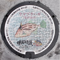 ���Ύs�}���z�[��