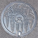 ���}�s�}���z�[��