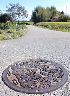 神戸市集排マンホール