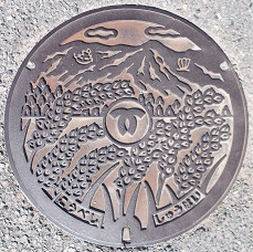 �_�ˎs�W�r�}���z�[��