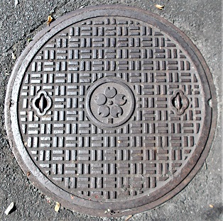 ���{����������}���z�[��