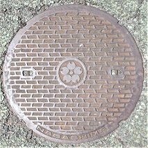 ���{����������}���z�[��