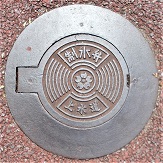 ���{�������������