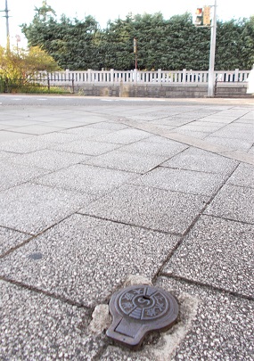 ���{�~����