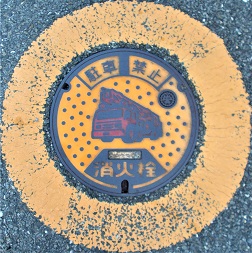 ���c�s���ΐ�