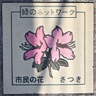 ���c�s����