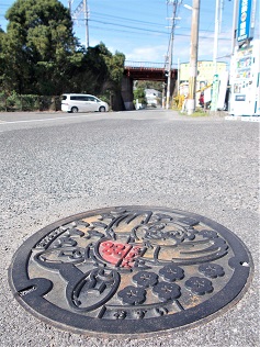 ���{�}���z�[��