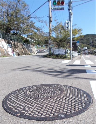 �a�̎R�s�}���z�[��