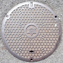 �a�̎R�s�}���z�[��