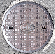 �a�̎R�s�}���z�[��