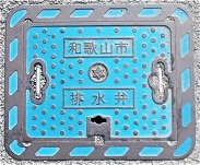 �a�̎R�s�r����