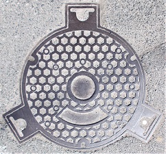 ���{�s�}���z�[��