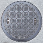 ���{�s�}���z�[��