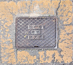 �L���s���ΐ�