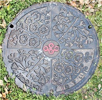 ���{�}���z�[��